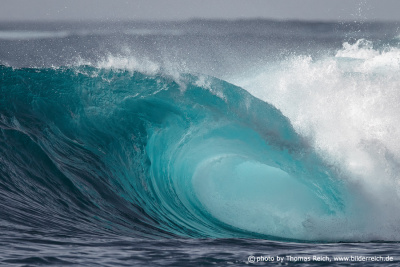 Big Ocean Wave breaking