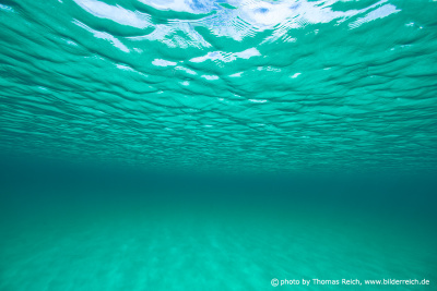 Ocean underwater sandy seabed
