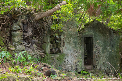 Lost places, Flores Island, Azores
