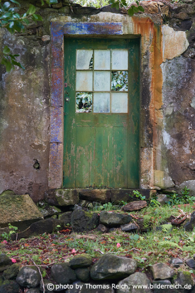 Old wooden door, Flores Azores