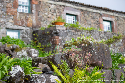 House in Aldeia da Cuada, Flores, Azores