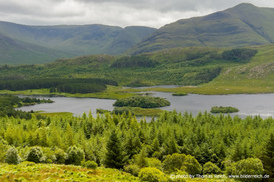 Forests and lakes in Ireland
