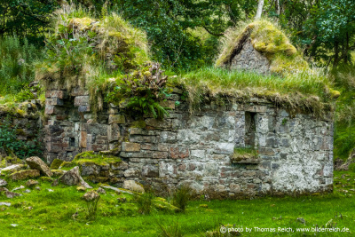 Ruins in Ireland