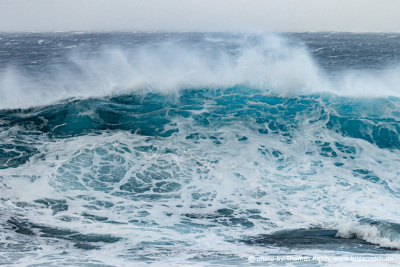 Waves Faial Azores