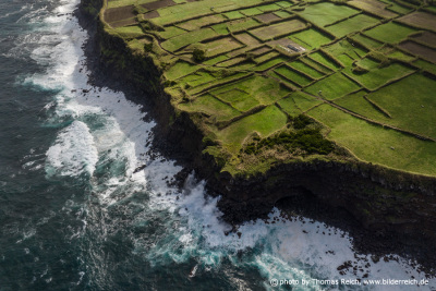 Green fields, Faial Azores