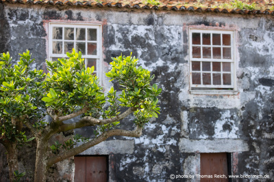 Old natural stone house Pico Azores