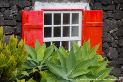 Lava house with red shutters, Pico Island