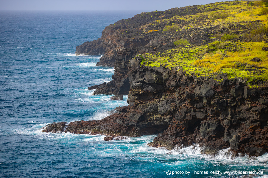 Lavaküste Insel Faial Azoren